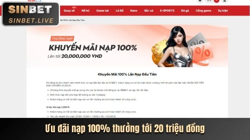 Tổng quan nền tảng gô8